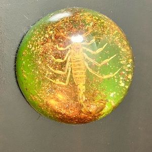 Old Resin Casted Scorpion Paperweight
